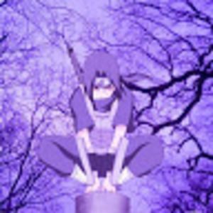 Meet your Posher, Lavendere